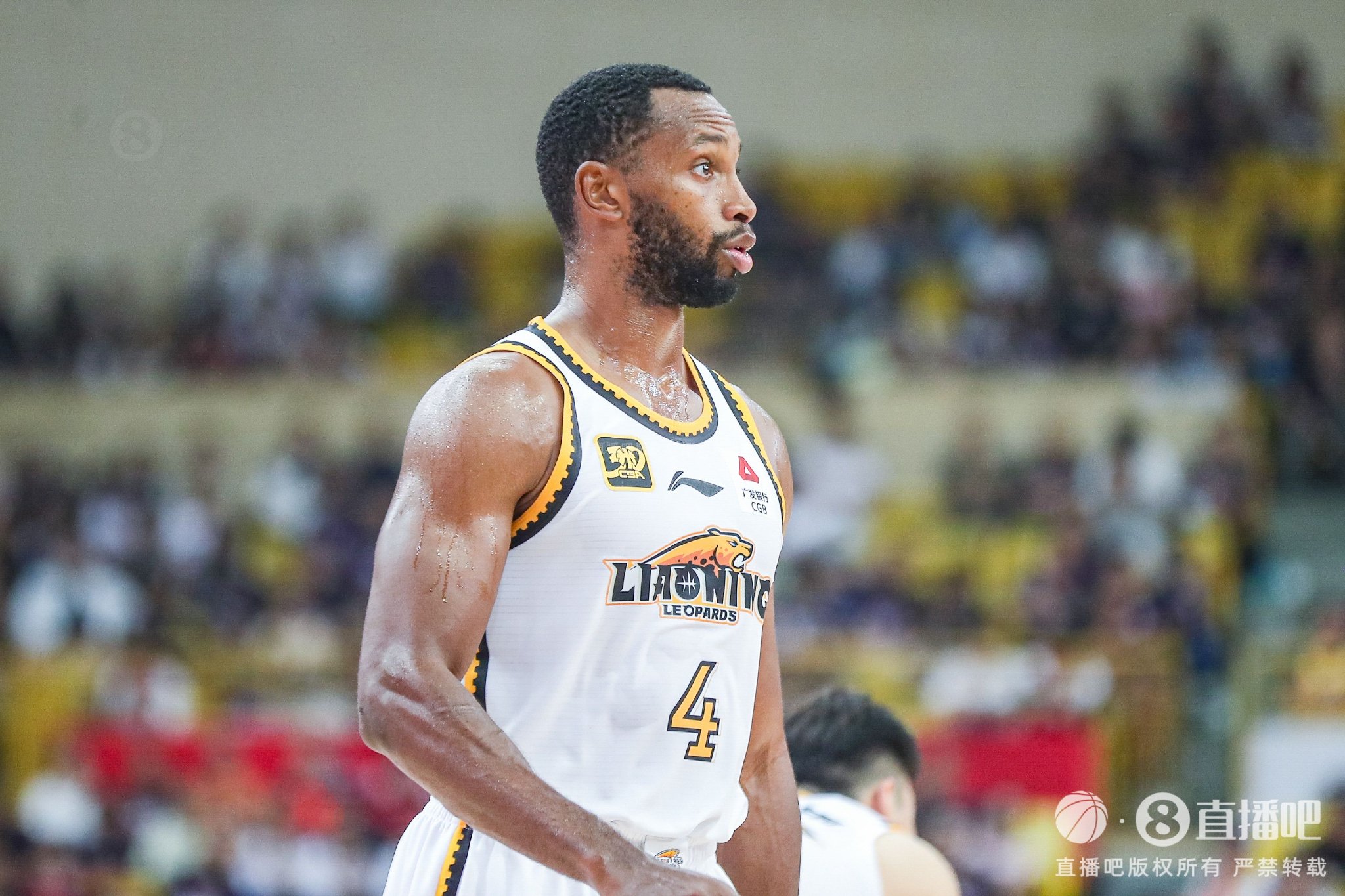 媒体人:弗格的经验很关键 他和张镇麟有默契 能帮着新援融入球队