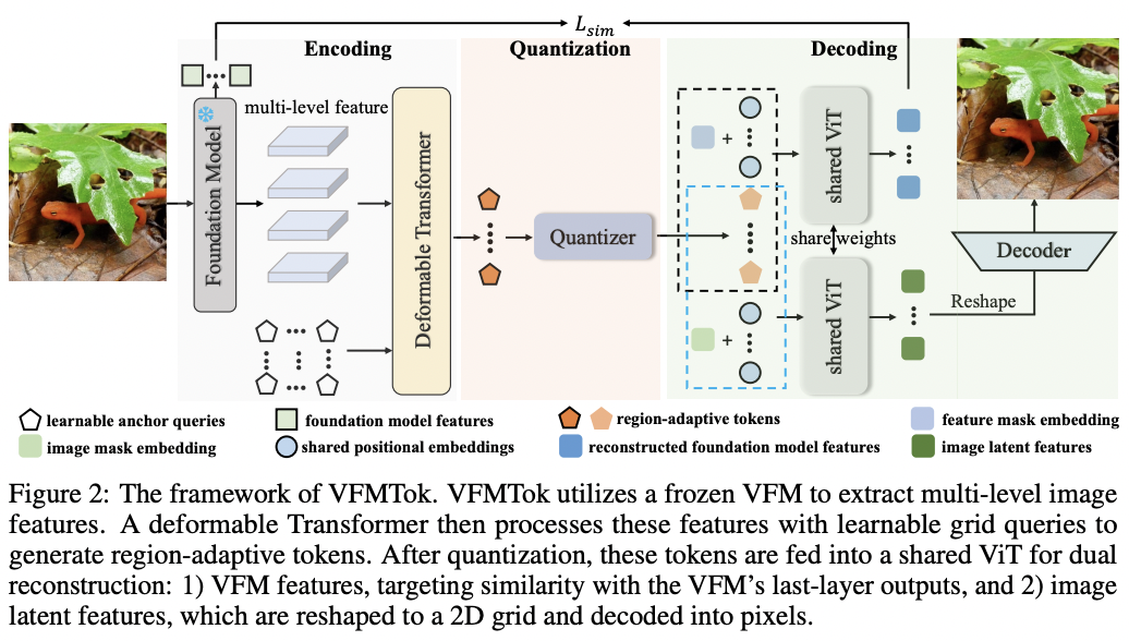 VFMTok 架构图