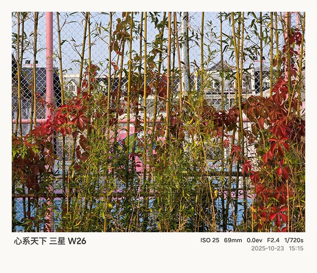 长焦镜头等效焦距为69mm,无论是拍摄风景还是人像,都更具冲击力。