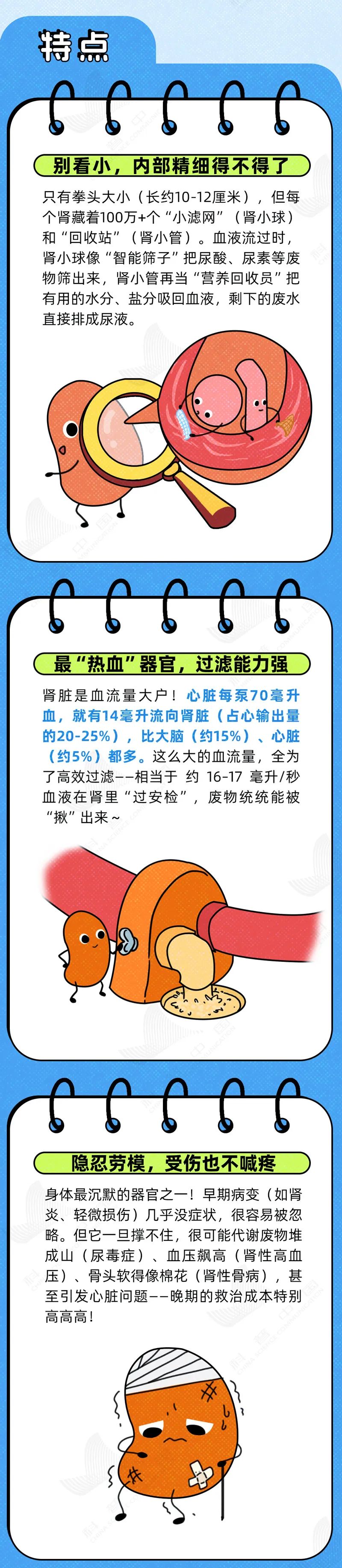 智利沙漠微型外星人遗骸，18年谜团解开：与人类DN...