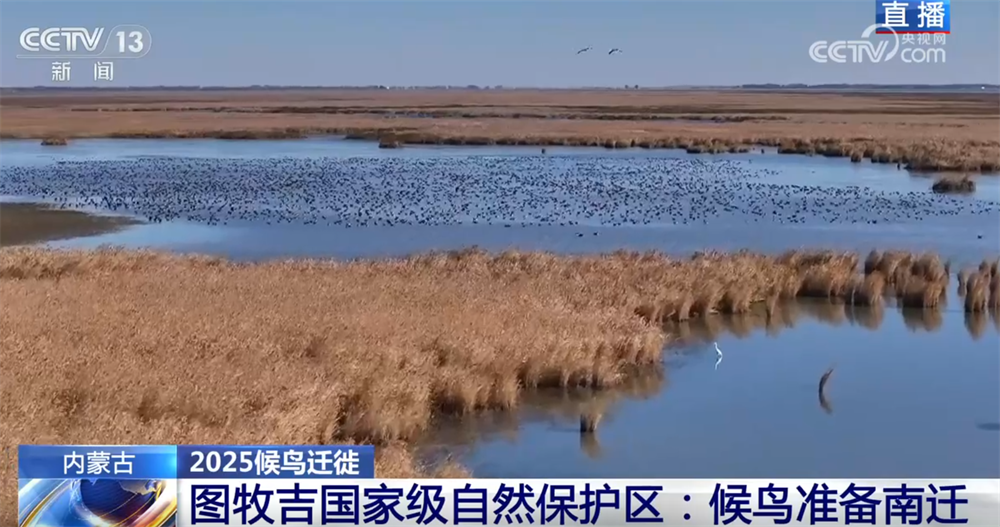 候鸟翔集绘生态新篇 “天空地一体化”监测网络体现迁徙路上的“中国温度”|图牧吉|候鸟|保护区