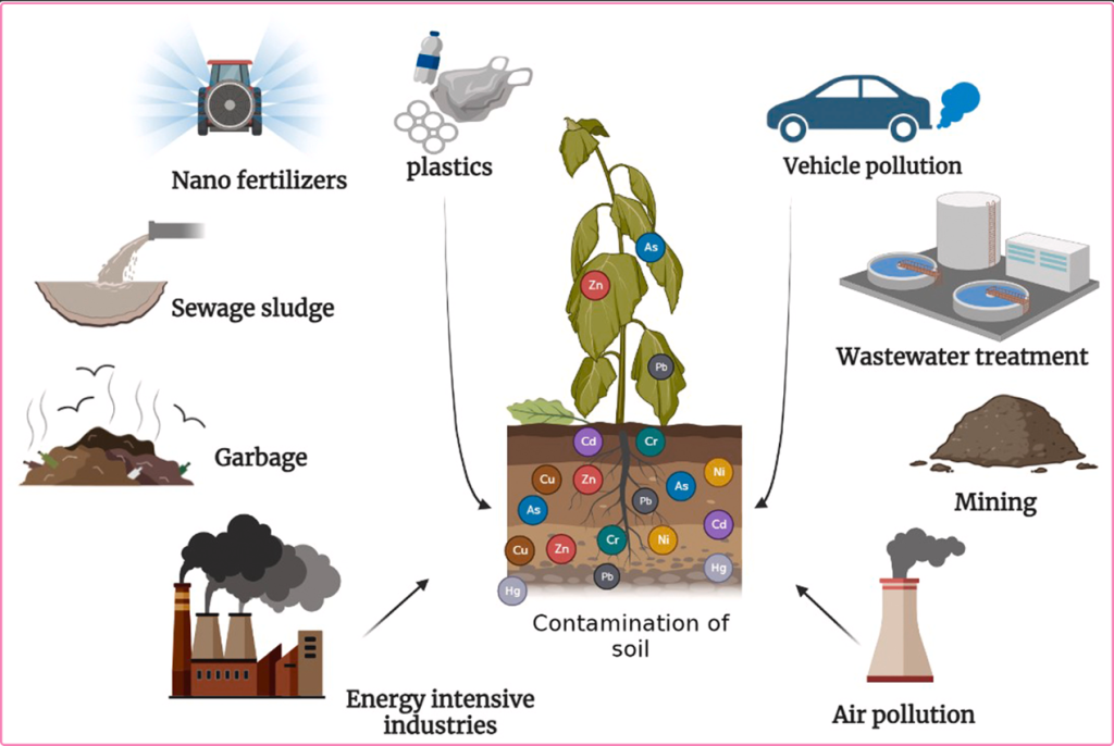 link域名怎么注册