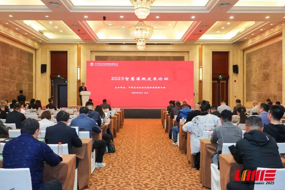 重大事件:长沙雨花比亚迪附近小巷子2025实测:避坑指南与地道玩法