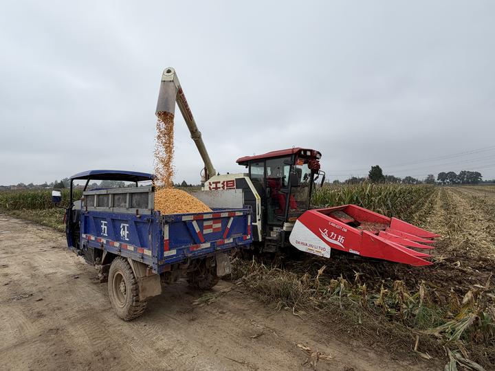 历史上的太监为什么往往武功高强?...