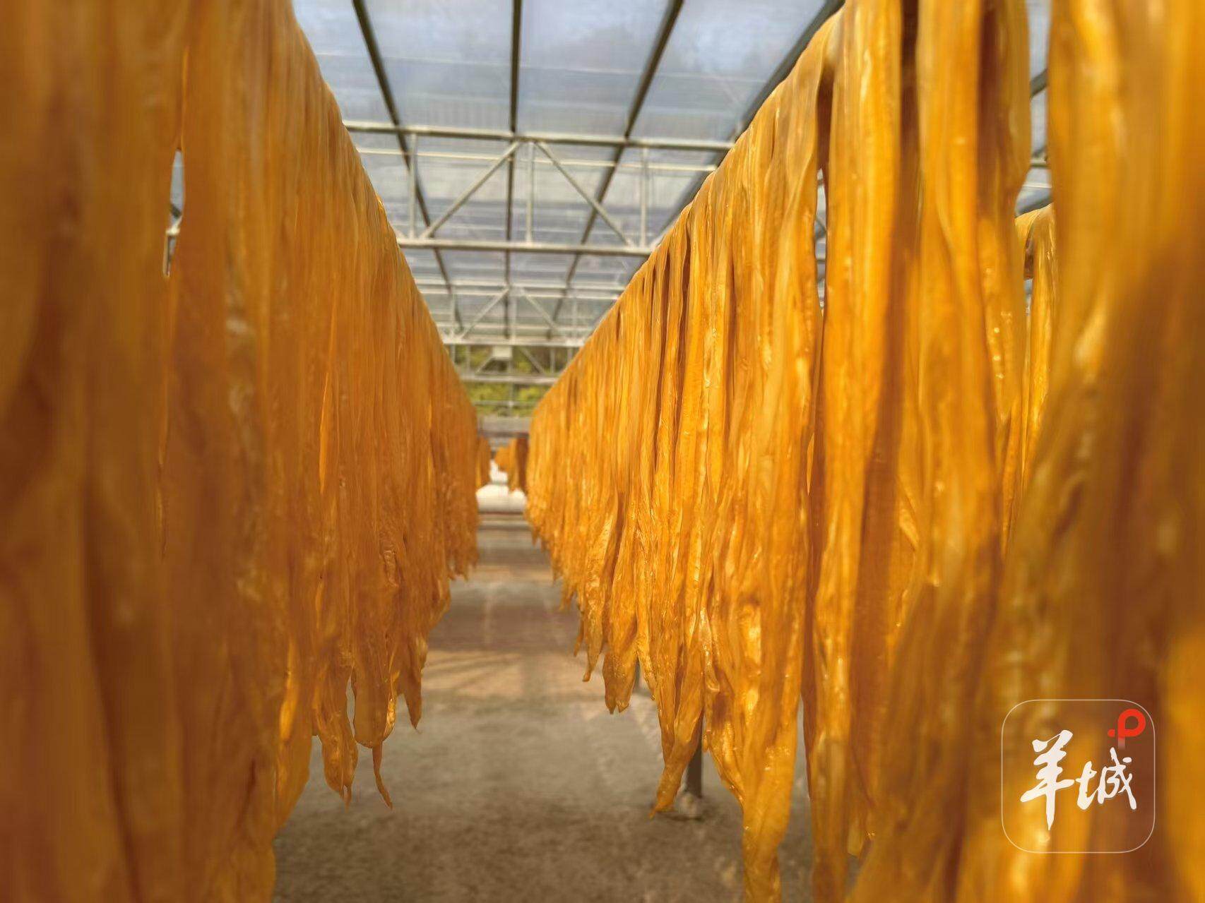 古代“保密法”到底有多严?...