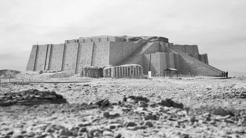 图片来源：Shutterstock