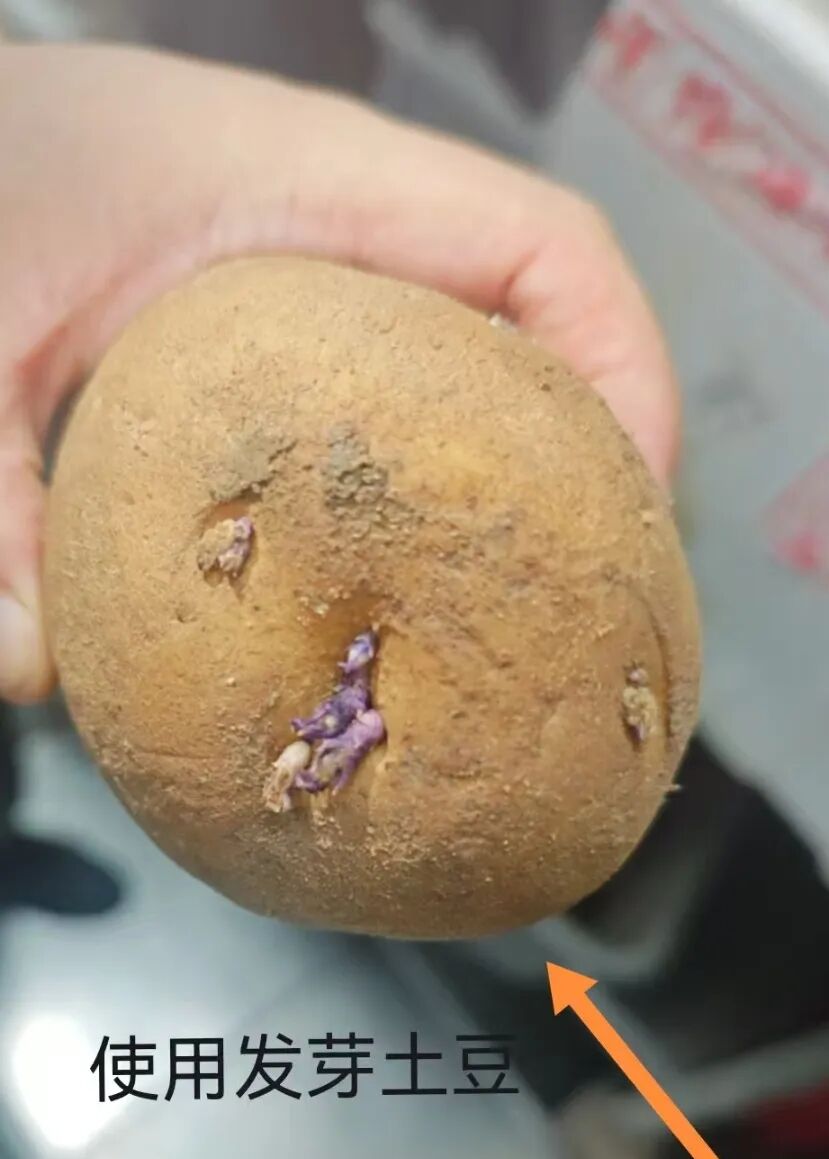 △举报者提供的干系图片