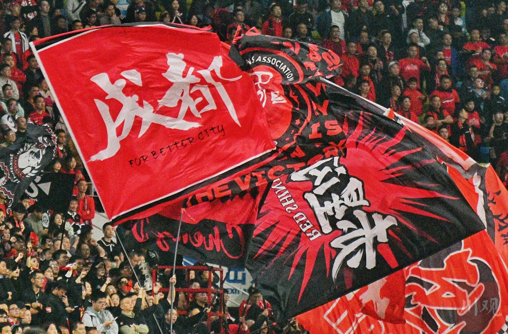 据悉权威消息称：贵族宝贝419验证区到底怎么个情况？真实体验与隐藏细节大公开