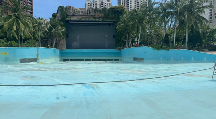 幼童独自在水乐园涌浪池深水区游玩溺亡，调查报告：救生员未及时发现，亲属监护失职