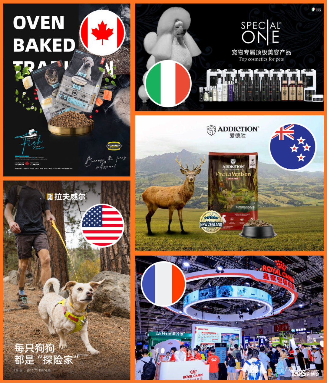 英语易混词辨析 常见表达用法解析