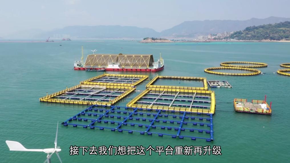 学生快餐如何省50%成本？新郑300元项目全流程拆解