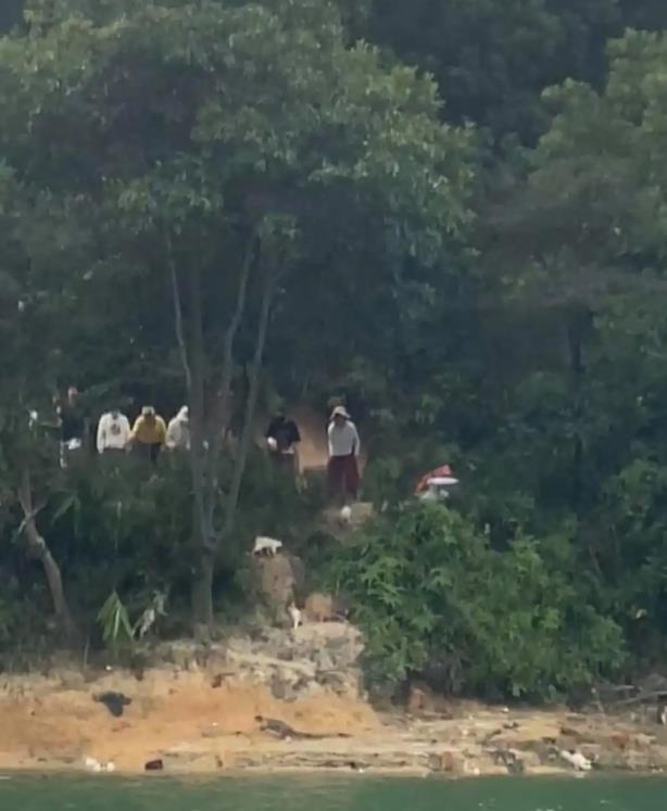 有人开货车在水库放生大量猫，多只猫跳进水里？广东清远多方回应