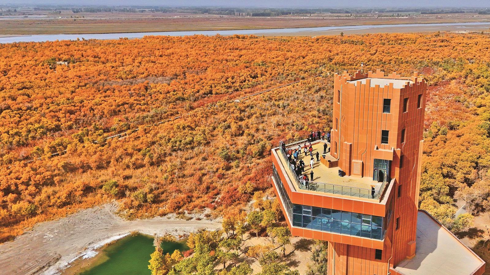 深夜来电100元上门服务？揭秘非法性交易5大避坑指南