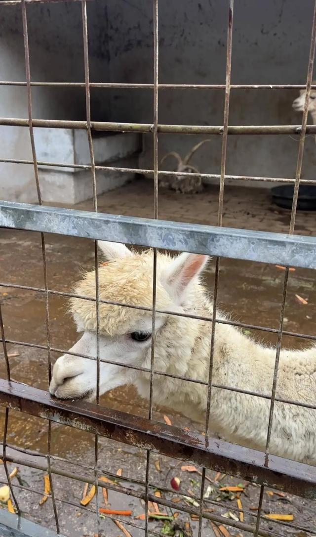 40岁离婚男人再婚难题 中年离异男性婚恋状况