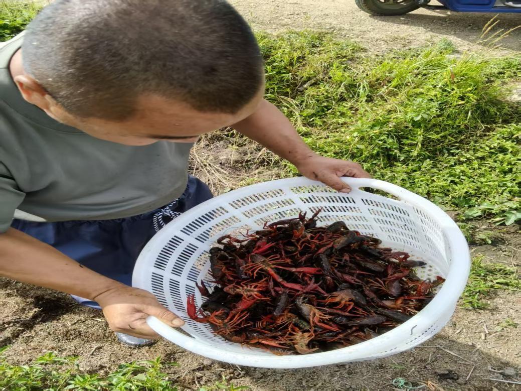 平顶山靠谱的95场98场娱乐活动推荐攻略