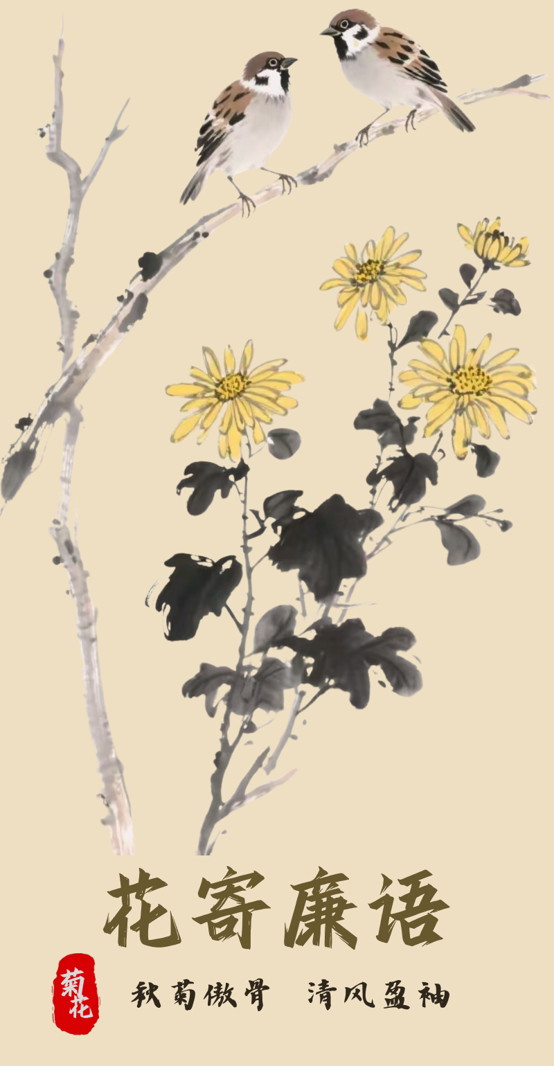 菊花：秋菊傲骨 清风盈袖