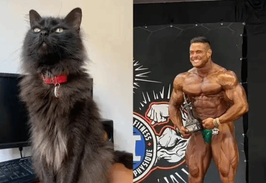 责任编辑：雪花