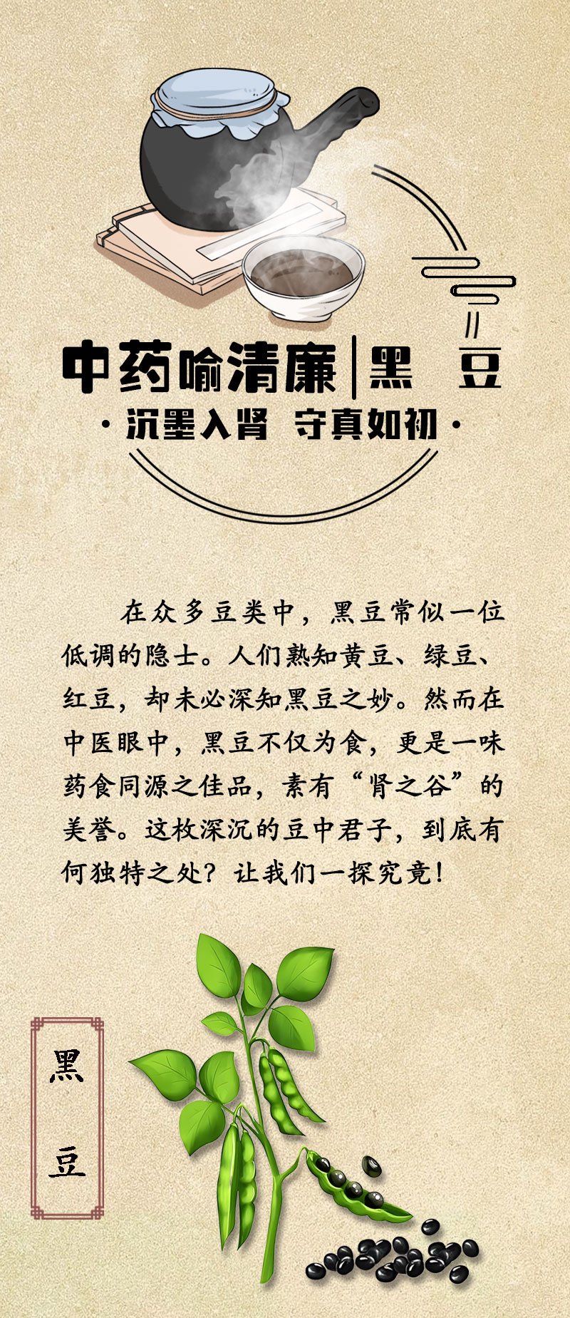 中药喻清廉丨黑豆：沉墨入肾 守真如初