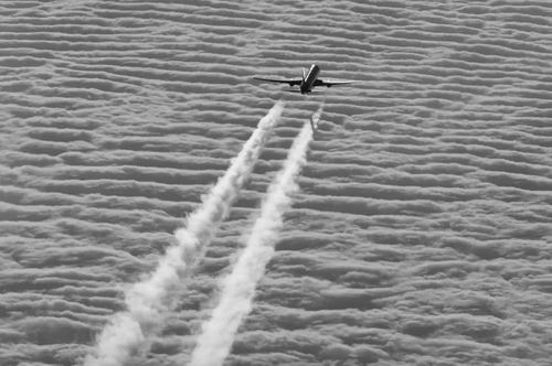 图片来源：Alamy