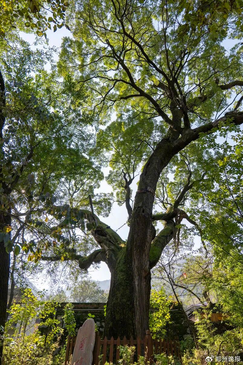 丹东600元2小时不限次数是指什么