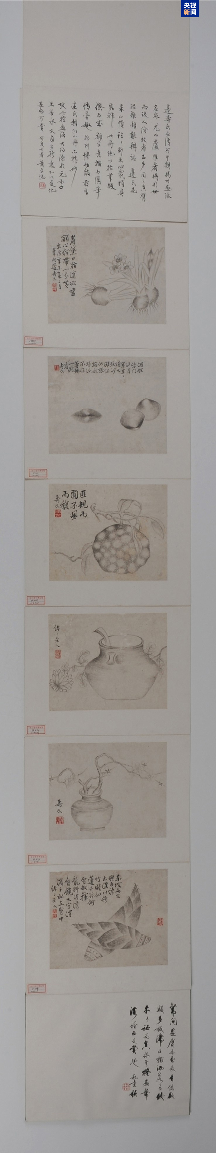 重庆信用卡逾期处理债务