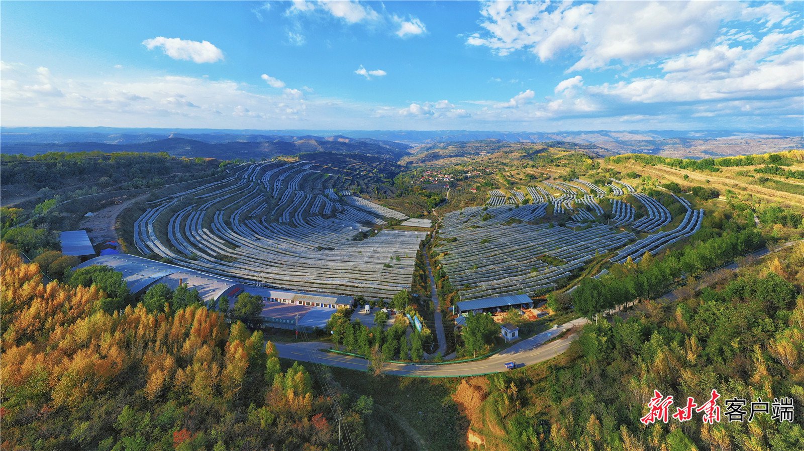 据悉有关人士透露：98式男女什么意思？揭秘真实含义与避坑指南🔥