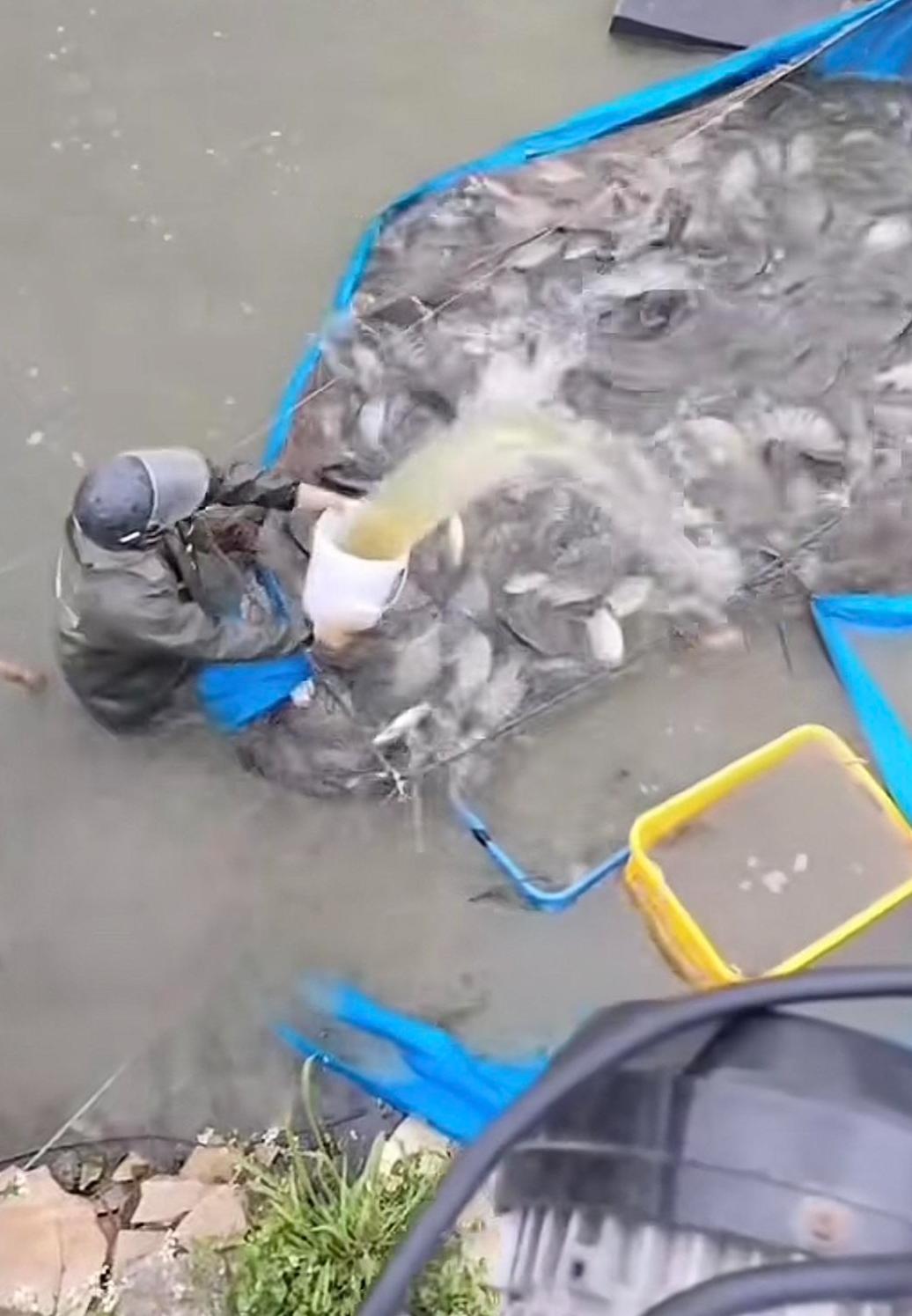 ▲漁民起網(wǎng)時(shí)潑撒丁香酚麻醉劑