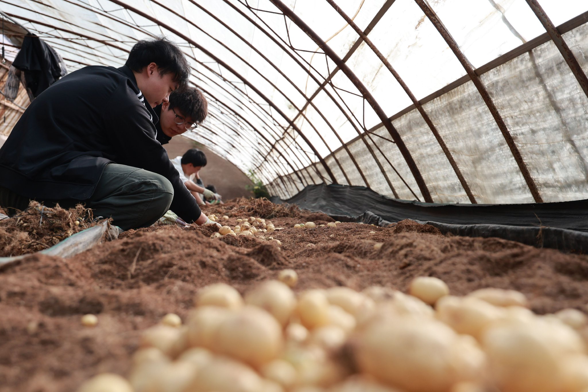 【祁连山下是我家】培黎职业学院：深耕产教融合  打通学子高质量就业新路