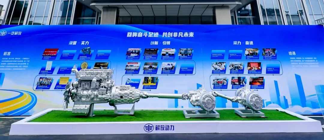 Access数据库如何禁止Shift键跳过启动窗体 限定性别输入只允许男或女