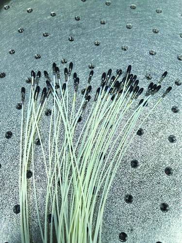 国家天文台供图