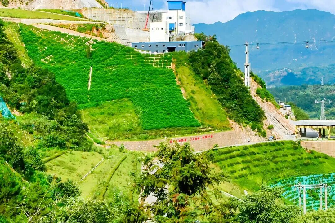 瑶岗仙矿业丝茅坪东部生态修复工程