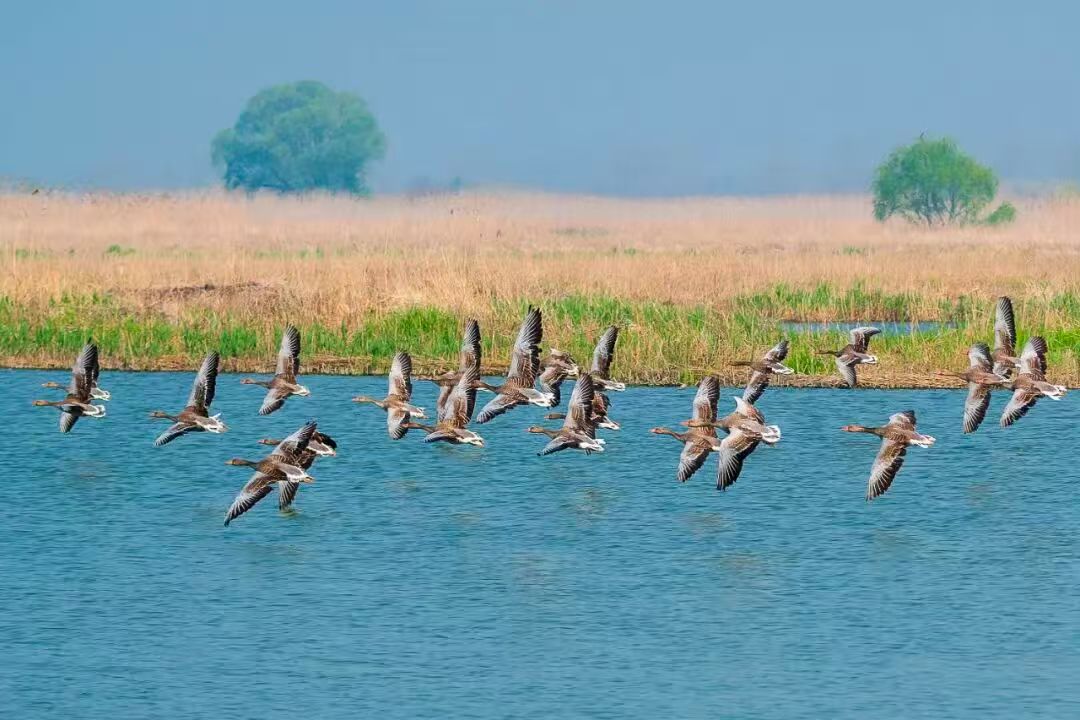 快餐200与半夜500电话的生存博弈,谁在深夜喂饱城市的胃
