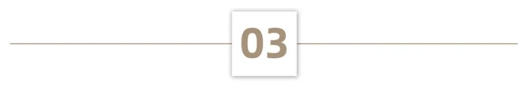 未来蓝图:内生与外延双轮驱动