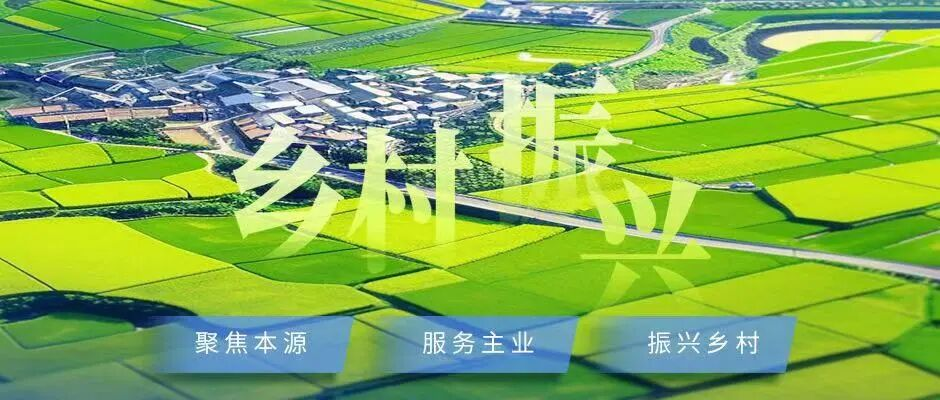 最新调查揭示江门上门400元4小时选照片服务的未来趋势解析