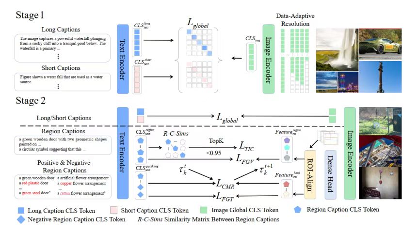 FG-CLIP2训练策略