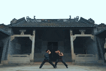 蔡李佛拳。