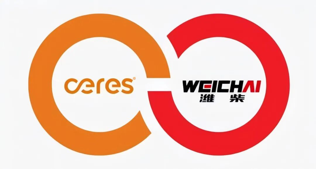 新手小白也能轻松搞懂的yp入门指南及实用技巧