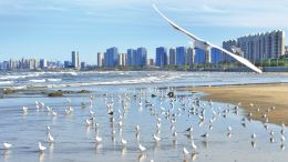 一路领跑，北方最强地级市烟台“开挂”了？