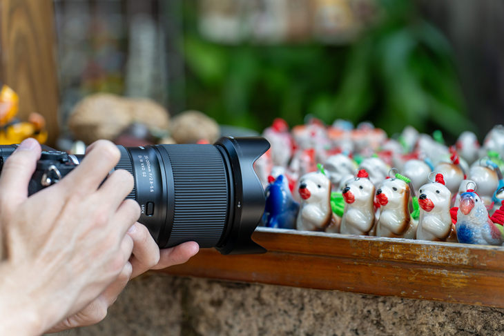 腾龙25-200mm F/2.8-5.6 Di III VXD G2（型号A075）镜头