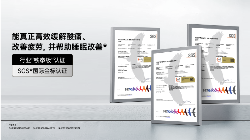 松下REAL PRO获奖SGS证书