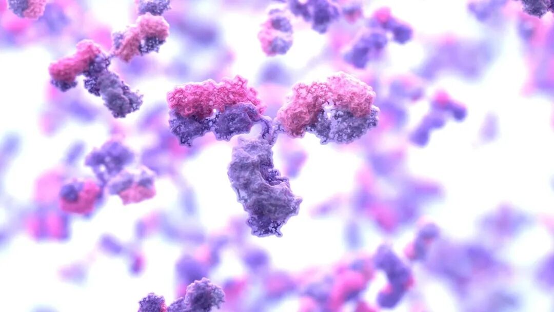 图源：华盛顿大学蛋白质设计研究所