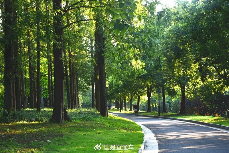 你若平和踏实，人生皆是欢喜