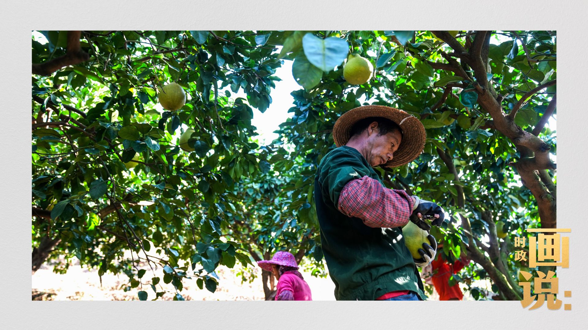 从排队煎熬到秒级响应：Aa广深预约号高端服务如何重塑城市效率