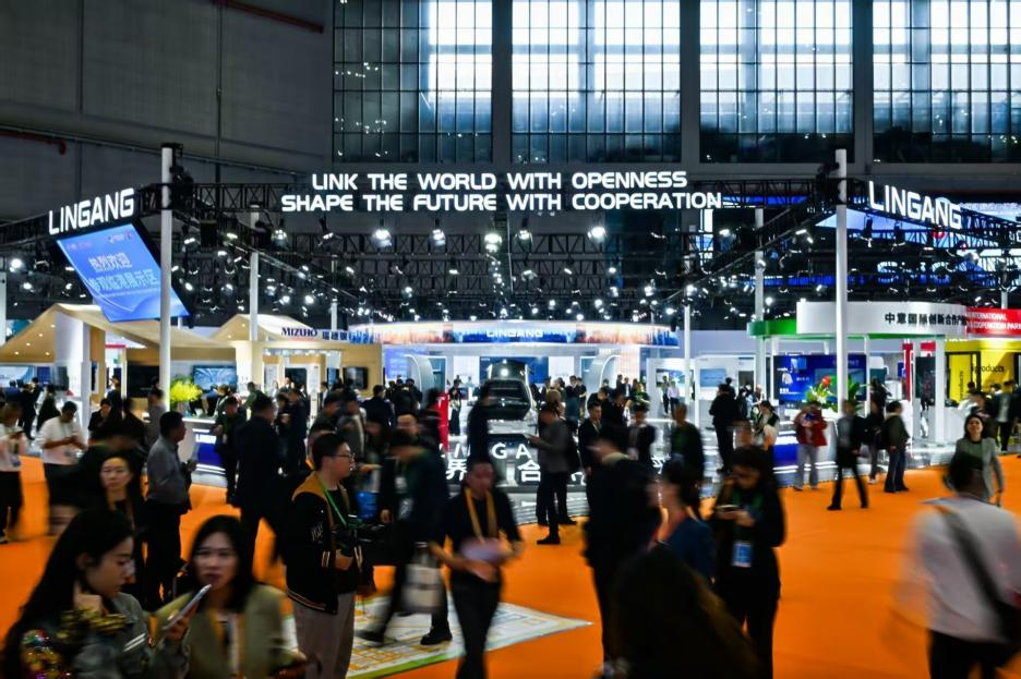 图为临港展示区（受访者供图）