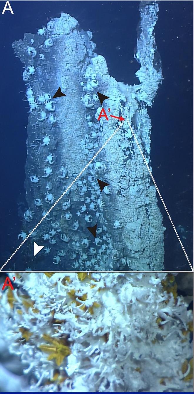 热点追踪！精装公寓400是什么意思的市场趋势深度解析