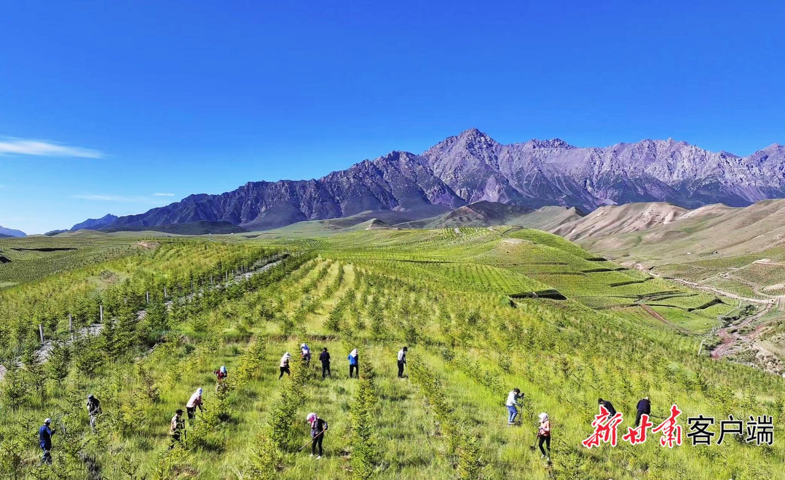 相对于风电和光伏，地方政府为何更加青睐氢能