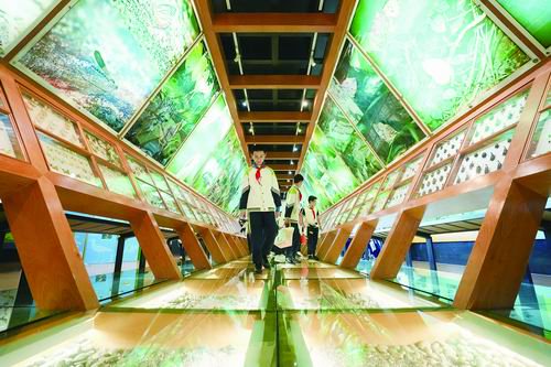 中国科学院昆明动物研究所供图