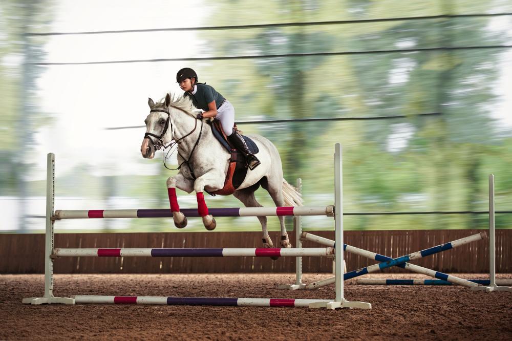 图片来源：视觉中国