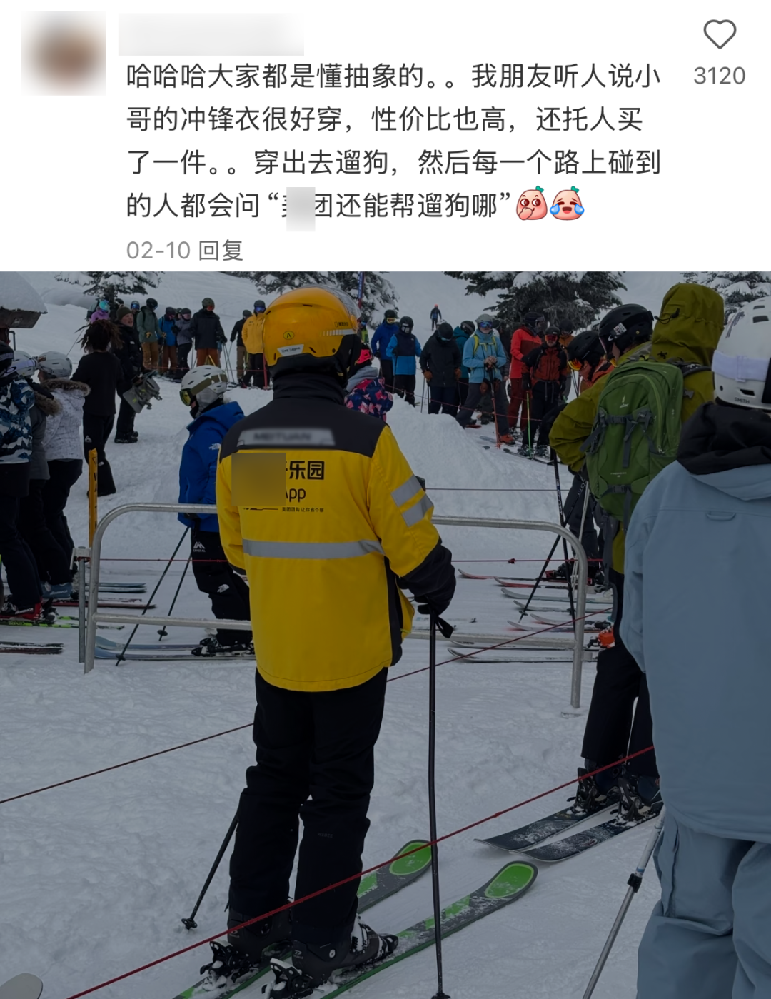 图源：胖鱼的主人