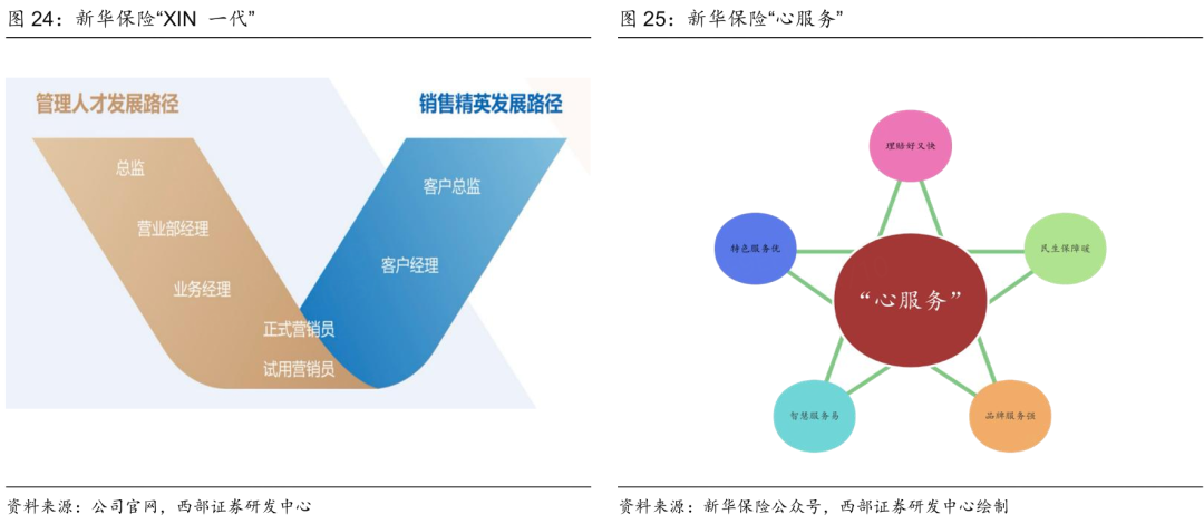 保险业明年有望进入黄金发展期